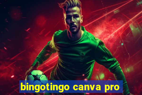 bingotingo canva pro